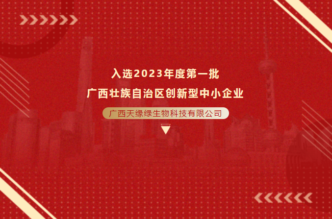 喜报！热烈祝贺江南全站母公司入选2023 年度广西壮族自治区创新型中小企业（第一批）名单！