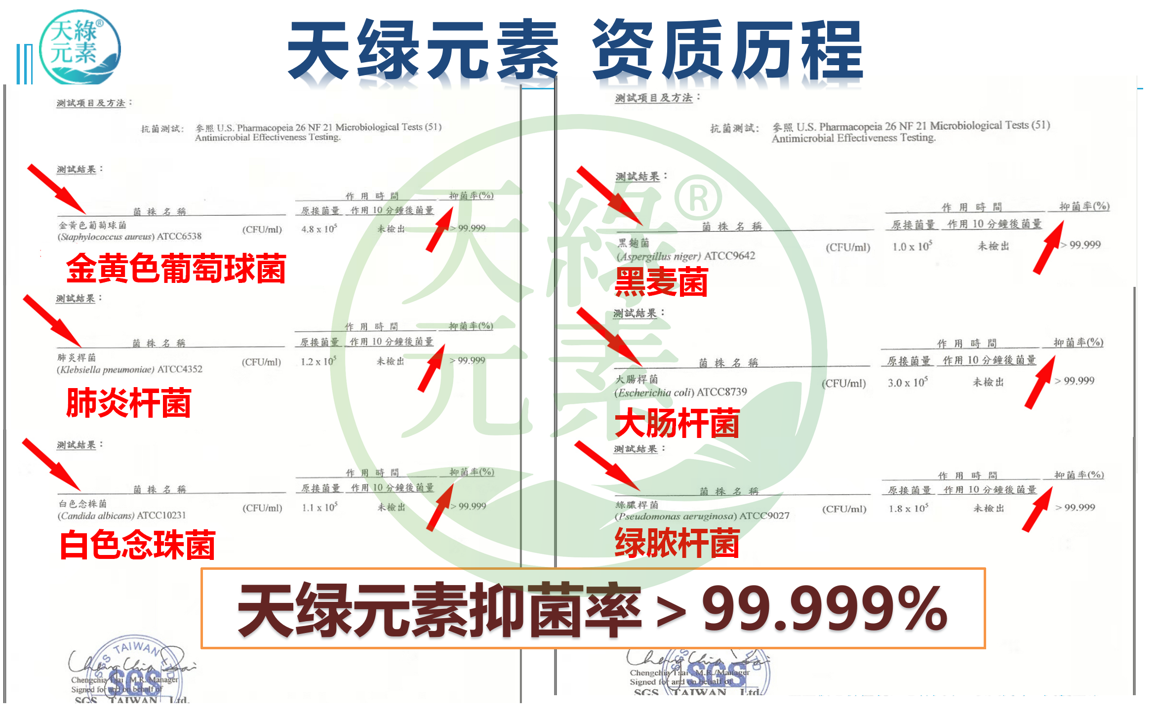 【江南全站元素】SGS抑菌率检测报告