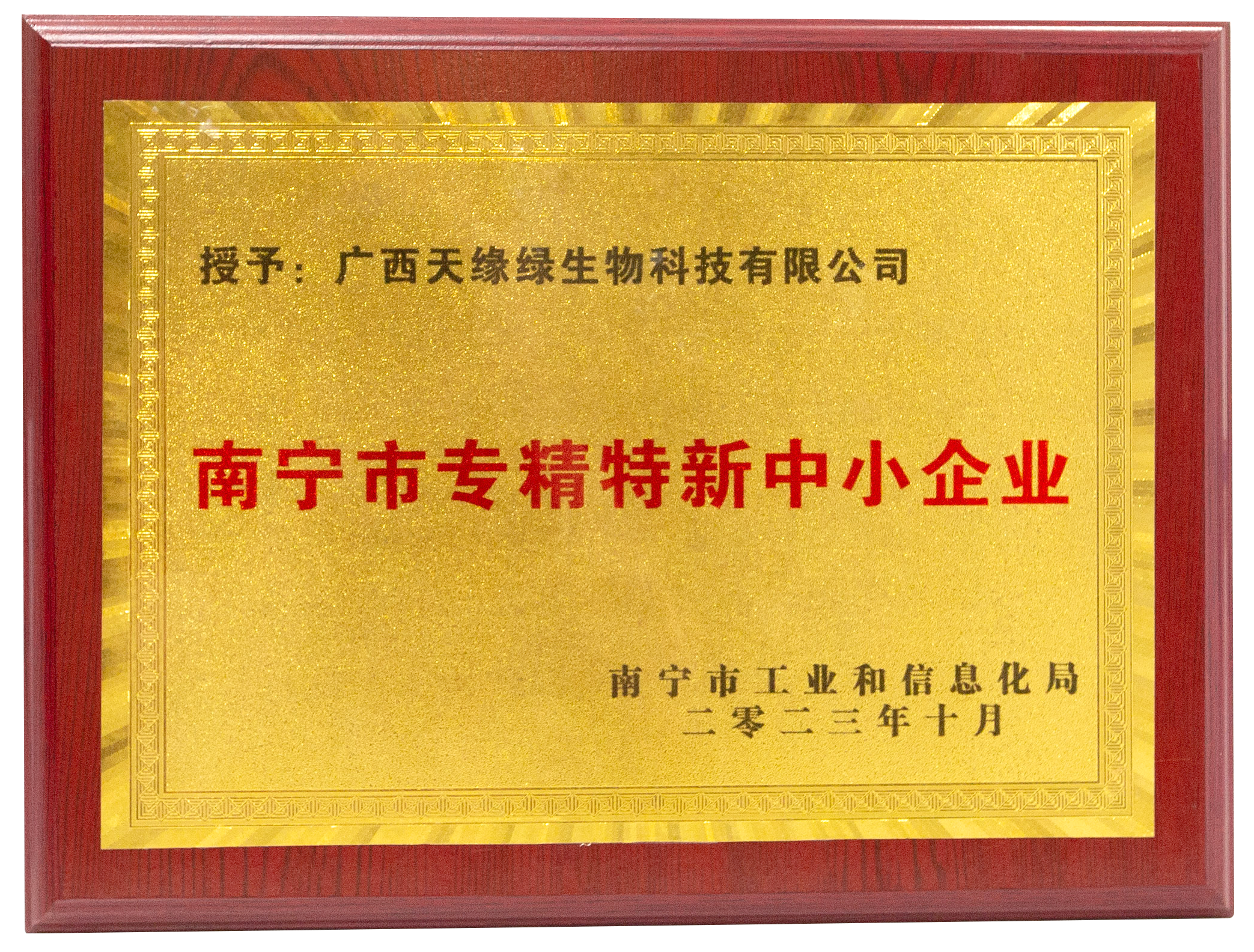 2023年-江南（中国）集团荣誉