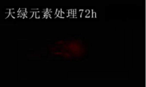 斑马鱼实验江南全站元素处理-72h.png